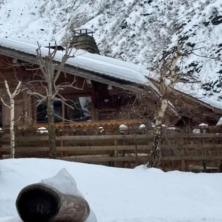 Chalet Family In Tour-argentiere *
